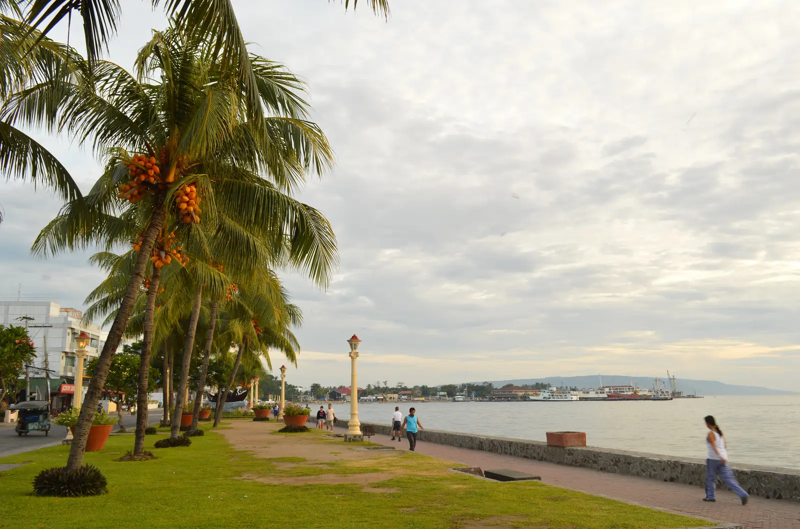 Photo: Marion Paul Baylado / CC BY-SA 3.0, via Wikimedia Commons Palm-lined Rizal Boulevard seafront promenade in Dumaguete City, Negros Oriental