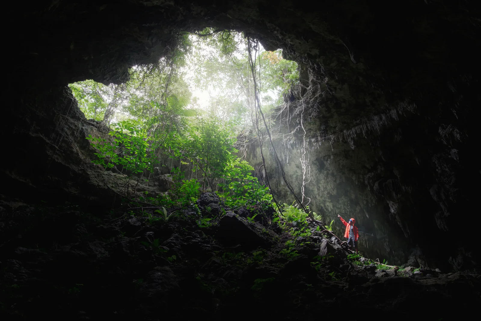 Daylight falling through a collapsed roof opening into a large cave chamber at Mabinay, Negros Oriental, with a caver in a red jacket for scale