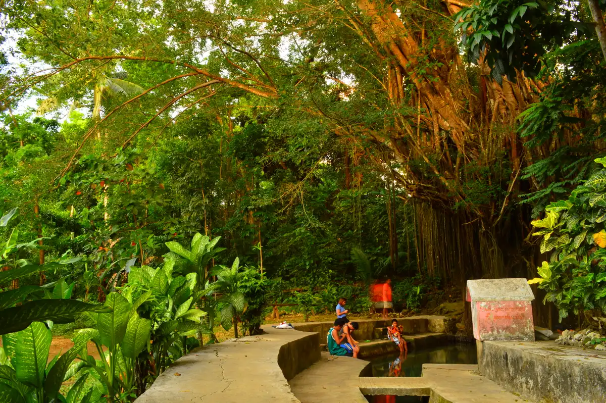 Photo: Marion Paul Baylado / CC BY 2.0, via Wikimedia Commons Century-old balete tree and its spring-fed pool in Campalanas, Lazi, Siquijor