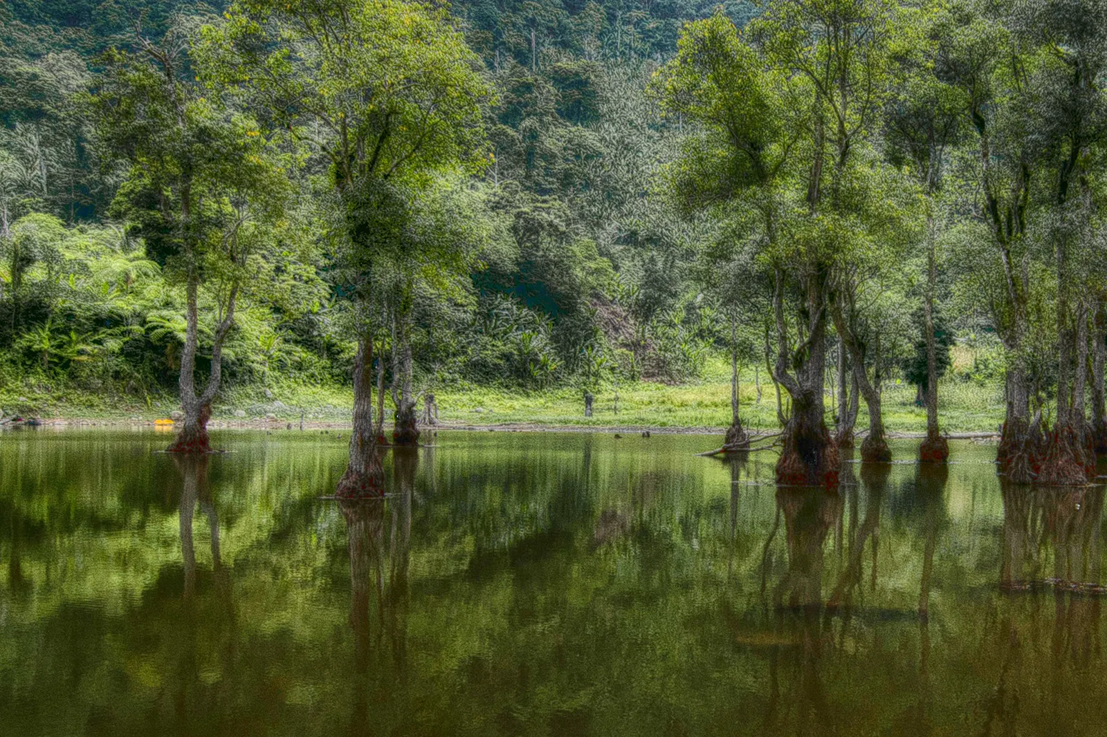 Still green water of Lake Balinsasayao ringed by forested hills in the Twin Lakes reserve, Negros Oriental