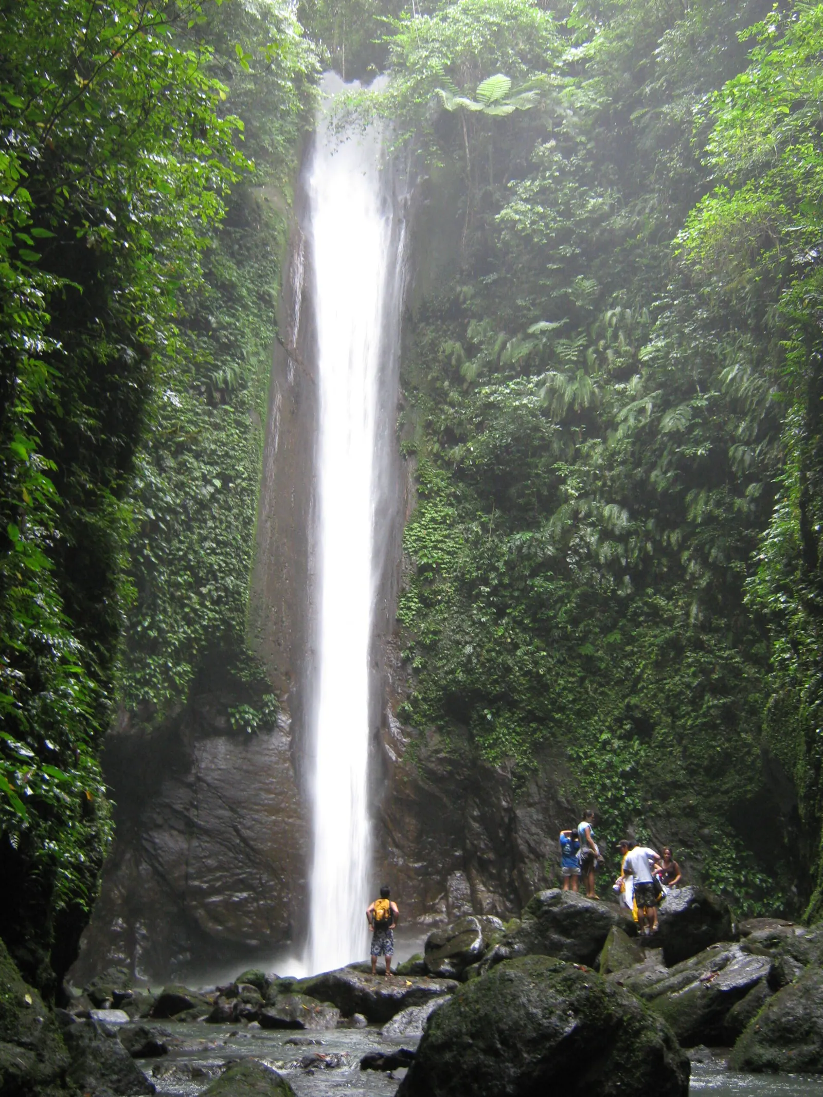 The tall, narrow Casaroro Falls plunging into a green pool in Valencia, Negros Oriental